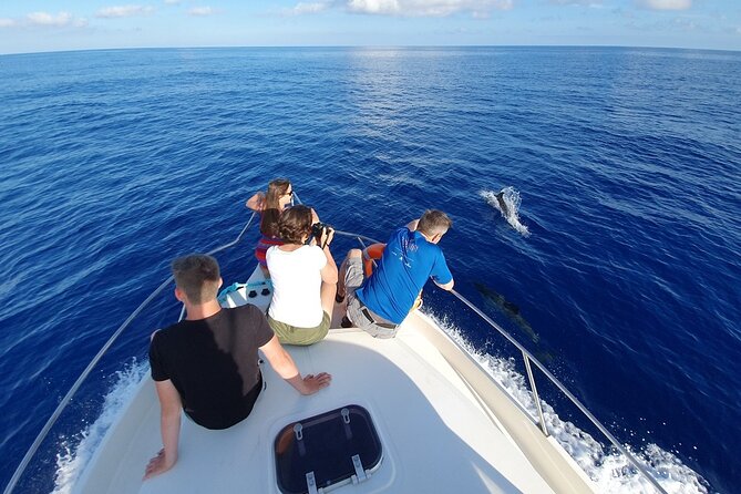 Dolphin House Sea Trip With Water Sports & Transfer – Hurghada