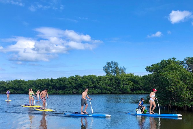 Dolphin & Manatee Watching Stand Up Pedalboarding Tour