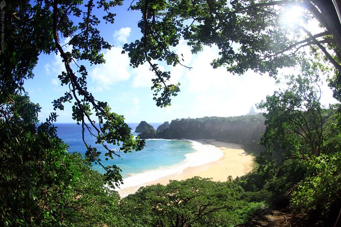 Dolphin Viewpoint Trail
