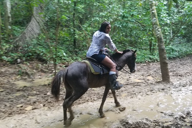 Dominican Mega Combo 4 Excursions In One