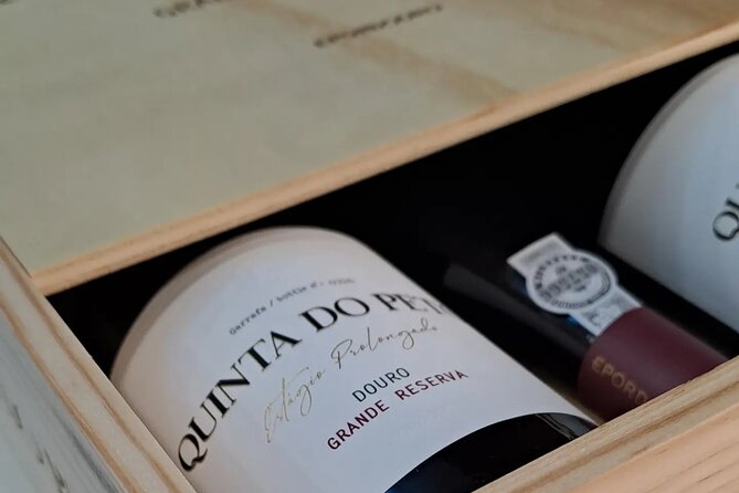 Douro and Port Wine Tasting in Vila Nova De Gaia
