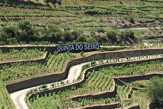 Douro Valley Private Tour From Oporto