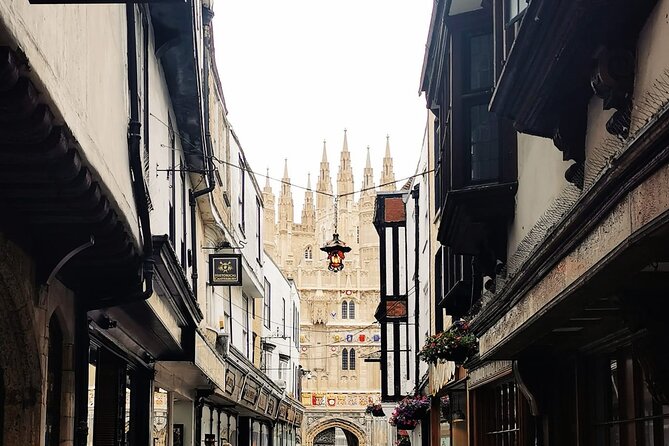 Dover Cruise Ship to Leeds Castle via Canterbury, Villages & Back - Tour Overview