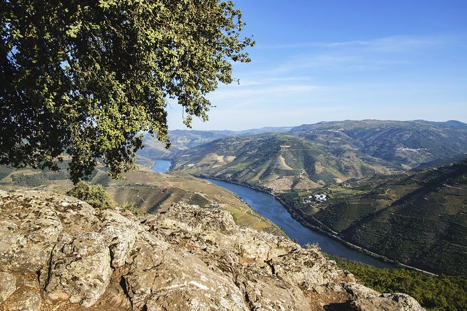 Driver With Private Vehicle in the Douro Valley