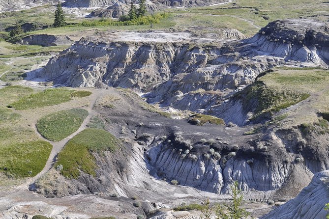 Drumheller (Dinosaur Valley) & Horseshoe Canyon 1-Day Tour