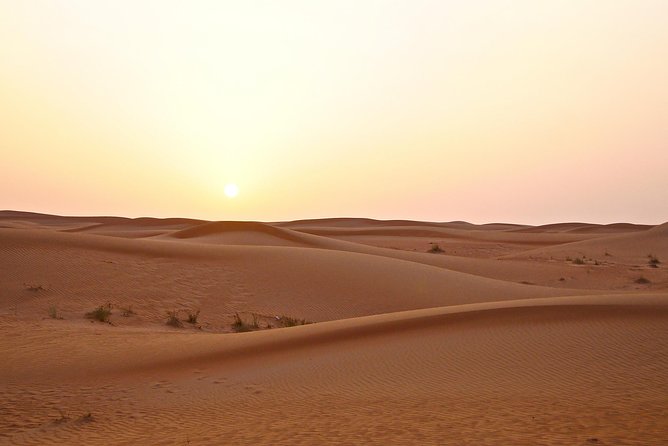 Dubai Red Dunes Safari by Quad Bike, Sand Boarding, Camel Ride & BBQ Dinner