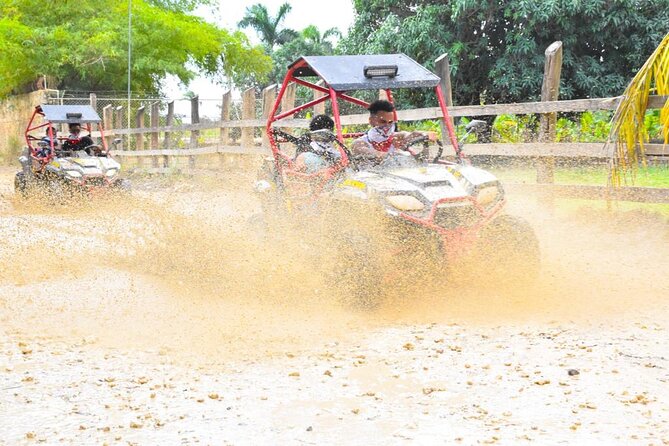Dune Buggy and Coffee Tasting & Water Cave From Punta Cana - Activity Overview