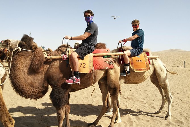 Dunhuang Private Camel Riding in the Gobi Desert
