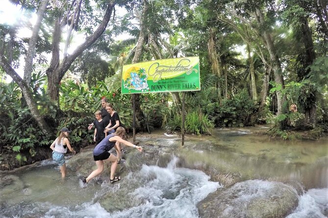 Dunns River Falls & Luminous Lagoon Guided Tour With Admission From Falmouth