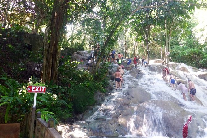 Dunns River Falls Private Day Tour