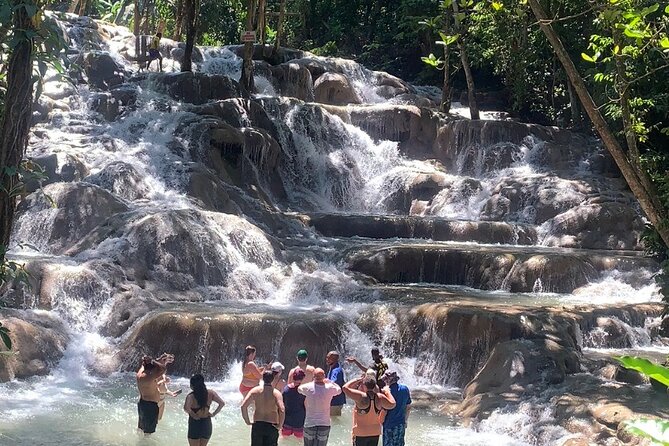 Dunns River Falls, Zipline Adventure From Kingston