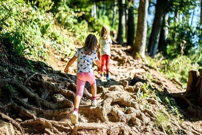 Durmitor National Park Hiking Tour – 3 Lakes
