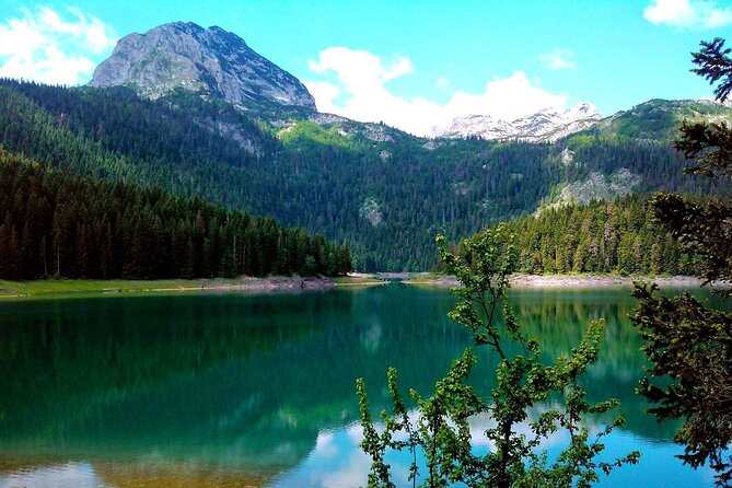 Durmitor National Park, Northern Fairy Tail -Private Tour From Podgorica