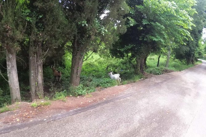 E-Mtb Tour – Analipsis Area [42km – 26mi]