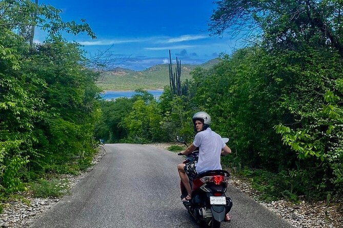 E-Scavenger Hunt by Car or Scooter: Explore the Rincon Valley