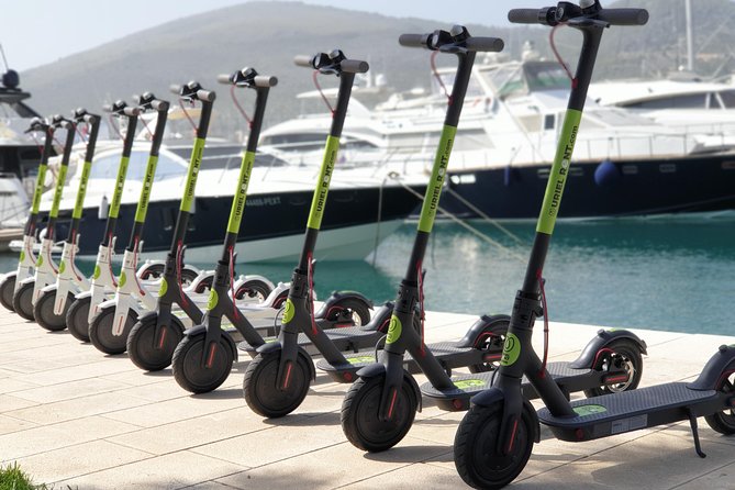 E Scooter Rental