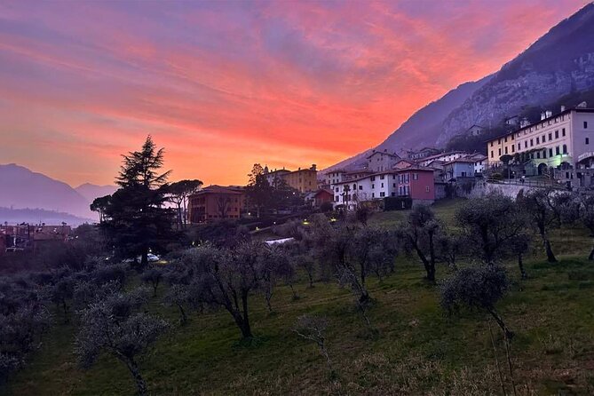 E.V.O. Oil of Lake Como Tasting+ Food Pairings - Overview of the Experience