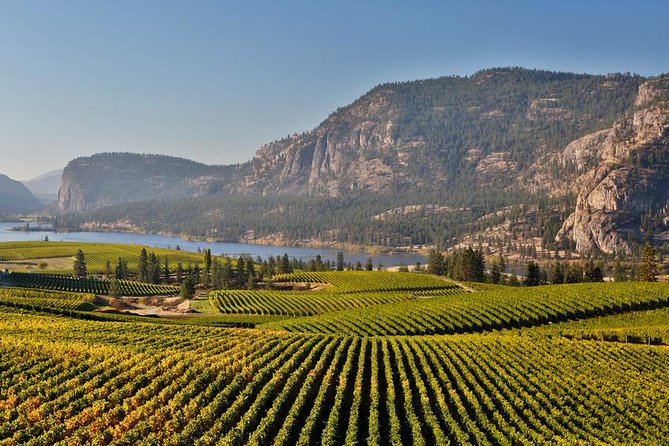 East Kelowna Wine Tour – Classic – 4 Wineries