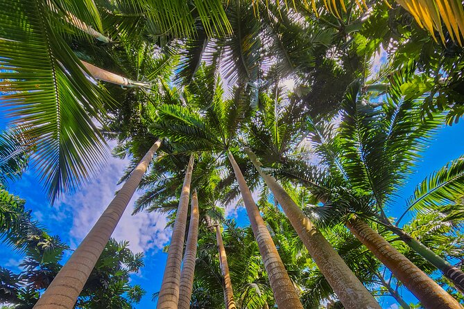 Easy Hike With Relaxing Garden Tour and Delicious Lunch - Tour Overview and Details