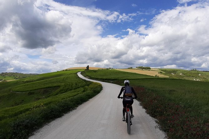 EBIKE Tour With Organic Wine Tasting