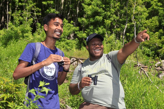 Ebony Forest Reserve Chamarel: Endemic Birdwatching Guided Tour
