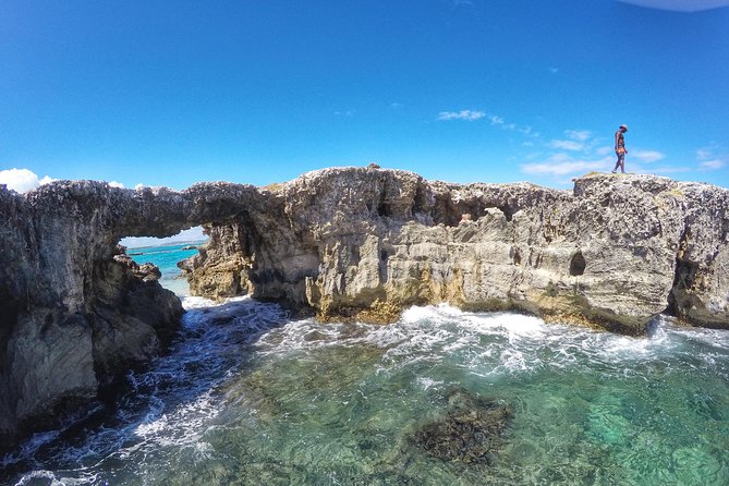 Eco Tour Antigua