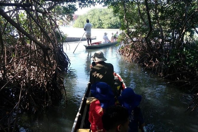 Ecoruta Volcano of Totumo and Experience in the Mangroves - Overview of the Ecoruta Volcano Tour
