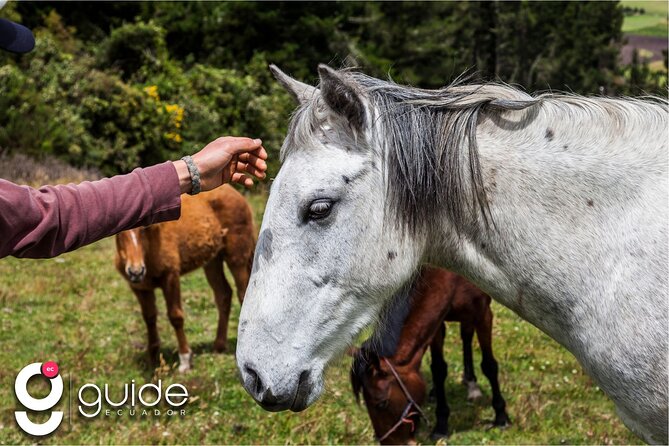 Ecuador Luxury Haciendas 8 Days Tour