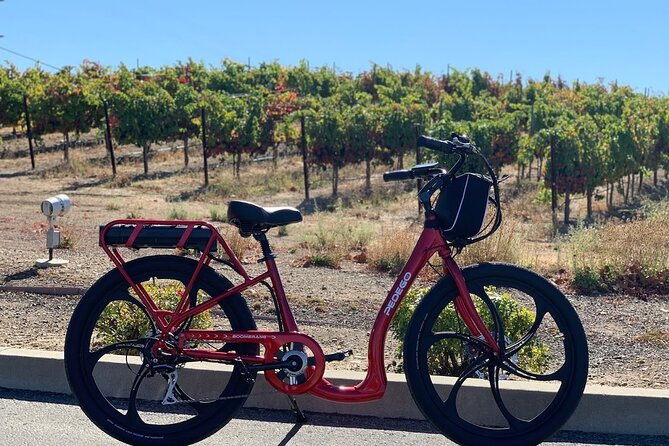 Electric Bike Rental in Livermore