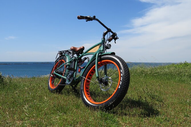 Electric Fatbike -Half-Day Circuit- Guided by GPS “The BIG Carnac Tour”