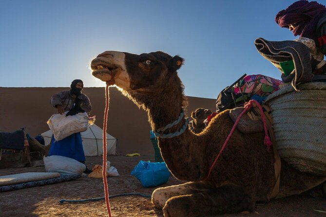 Erg Chigaga Desert Tour From Mhamid by 4×4 Morocco Sahara Dunes