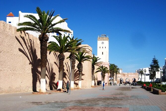 Essaouira Day Trip From Agadir or Taghazout