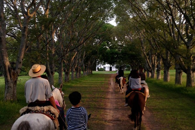 Estancia Day in Buenos Aires, Gaucho’S Party Day Tour