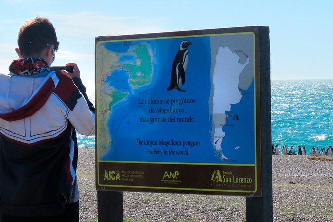 Estancia San Lorenzo: Home of the Largest Penguin Colony