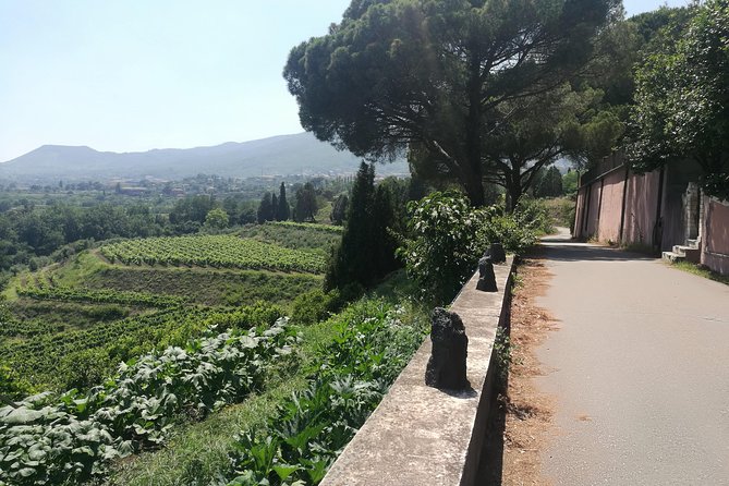 Etna Excursion and Lunch – Wine Tasting in Etna DOC Vinery