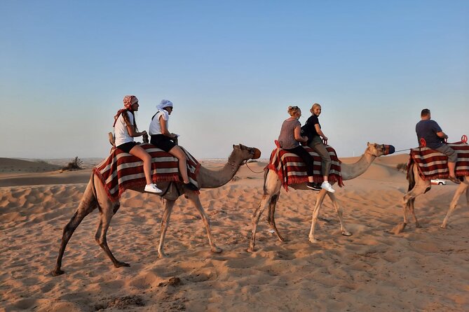 Evening Desert Safari in Dubai With Dune Bashing , Camel Ride and BBQ Dinner
