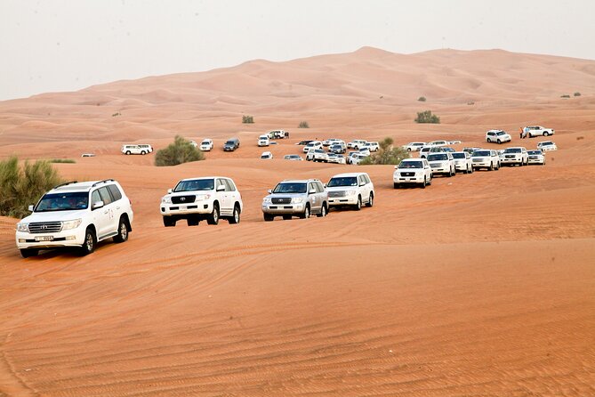 Evening Desert Safari Tour With Live Enterterment And BBQ Dinner