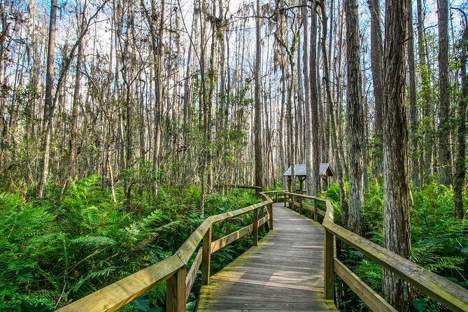 Everglades National Park Self Guided Driving Audio Tour - Tour Overview and Features