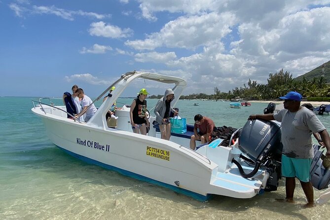 Exciting Dolphin Encounters in the Maurtiuss Lagoon