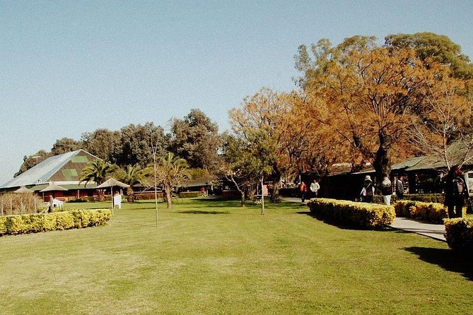 Excursion to Estancia in the Pampas With Lunch + Dinner Tango Show - Tour Overview