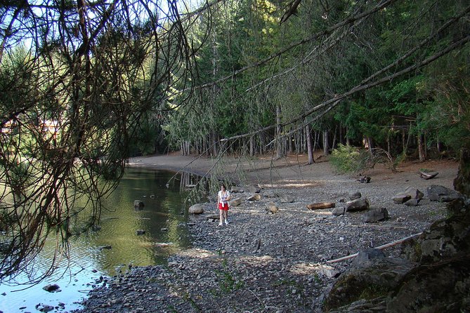 Excursion to San Martin De Los Andes via 7-Lake Circuit, From Bariloche - Tour Overview