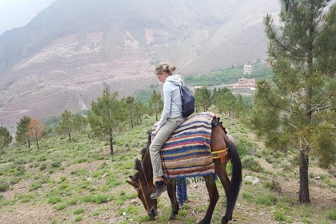 Excursion to the Atlas Mountain From Marrakech