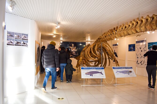 Excursion to the Valdés Peninsula From Puerto Madryn - Discovering Whales and Sea Lions