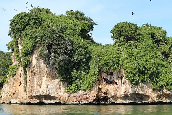 Exploration of Mangroves and Wildlife Los Haitises.