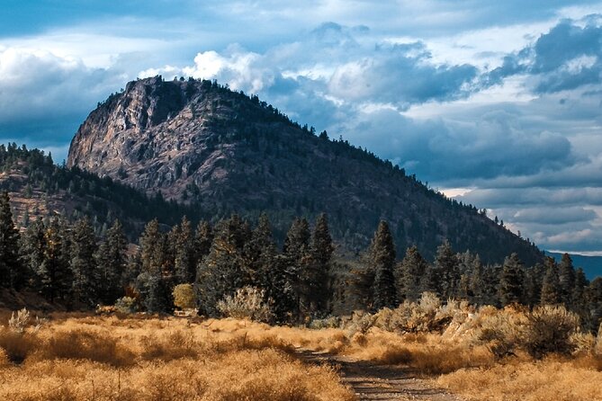 Explore and Learn the Natural Wonders of Summerland