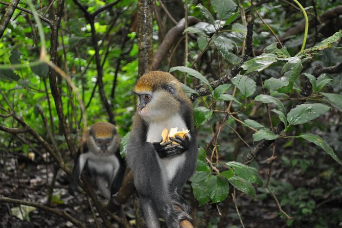Explore Benin ,Togo & Ghana – 14 Days