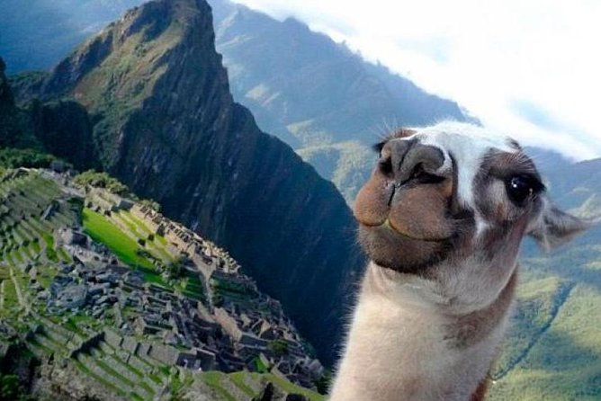 Explore Machu Picchu in 1-Day By Train