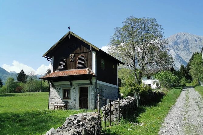Explore the Beauty of the Carnic Alps by Bicycle