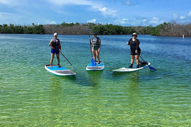 Explore the Mangrove Creeks With an ALL Day Tandem Kayak Rental