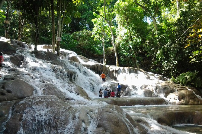 Falmouth Shore Excursion Dunns River Falls